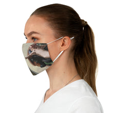 Load image into Gallery viewer, The Birth Of Ape Fabric Face Mask
