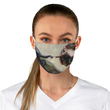 Load image into Gallery viewer, The Birth Of Ape Fabric Face Mask
